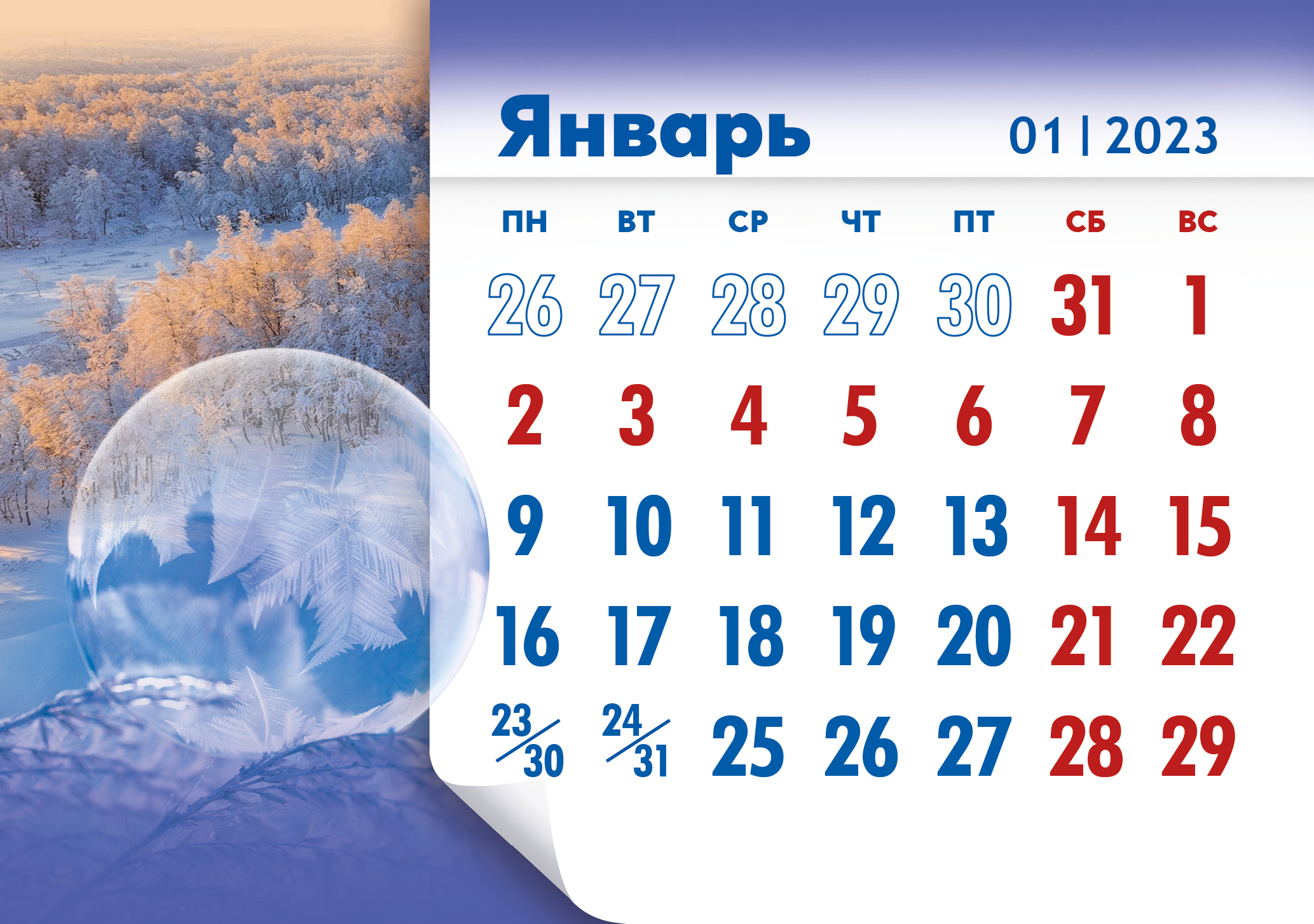 Главная страница